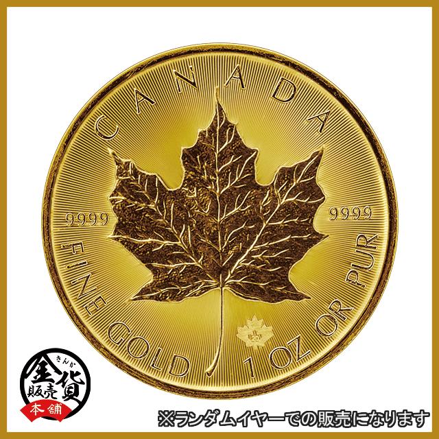 maple_coin_a