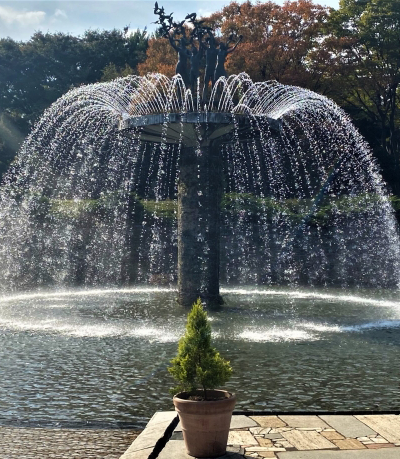 昭和記念公園