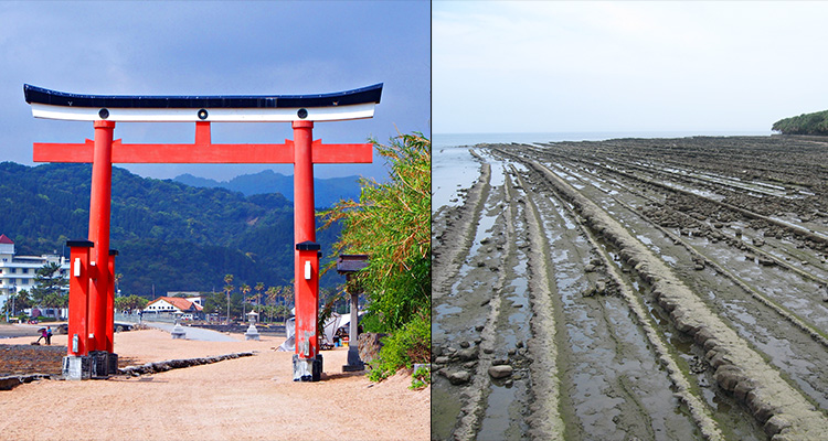 青島