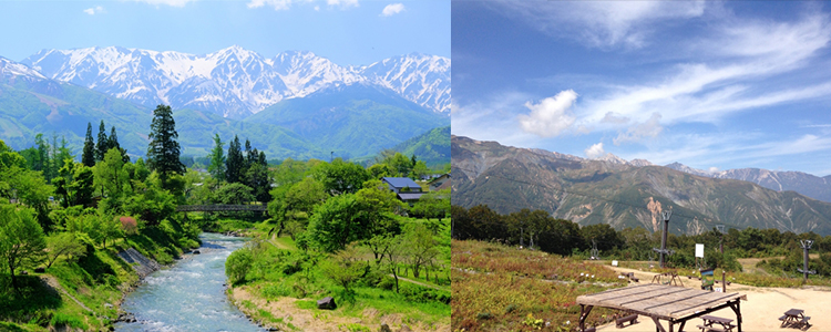 白馬連邦と白馬五竜高山植物園