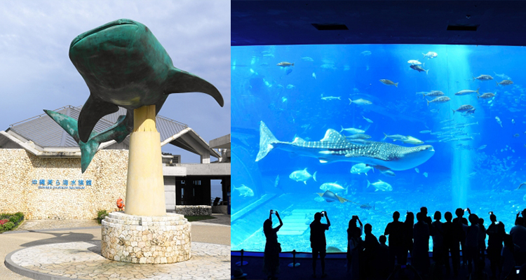 沖縄美ら海水族館