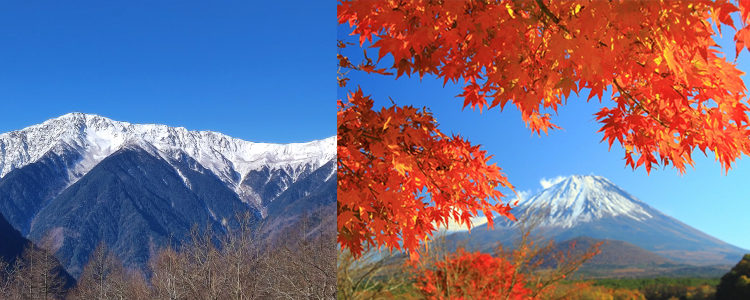 夜叉神峠からみえる白峰三山と紅葉時期の富士
